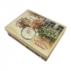 Подарочная коробка (210х150х55, дизайн Романтическое настроение)