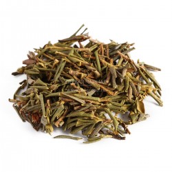 Саган Дайля