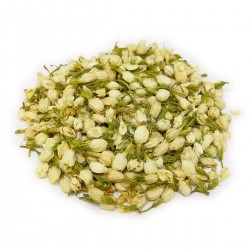 Бутоны цветов жасмина