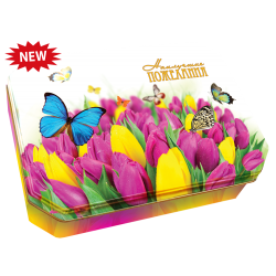 Наилучшие пожелания! - ТЮЛЬПАНЫ