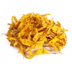 Подсолнечник лепестки