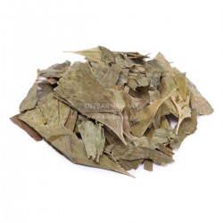 Гинкго Билоба