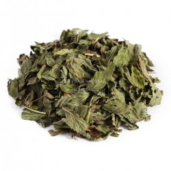 Мята марокканская